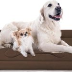 Dog Grooming